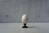 ●24-NM 29 Norihisa Mizuta / egg object