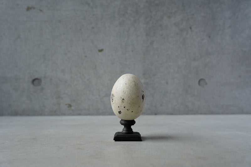 ●24-NM 29 Norihisa Mizuta / egg object