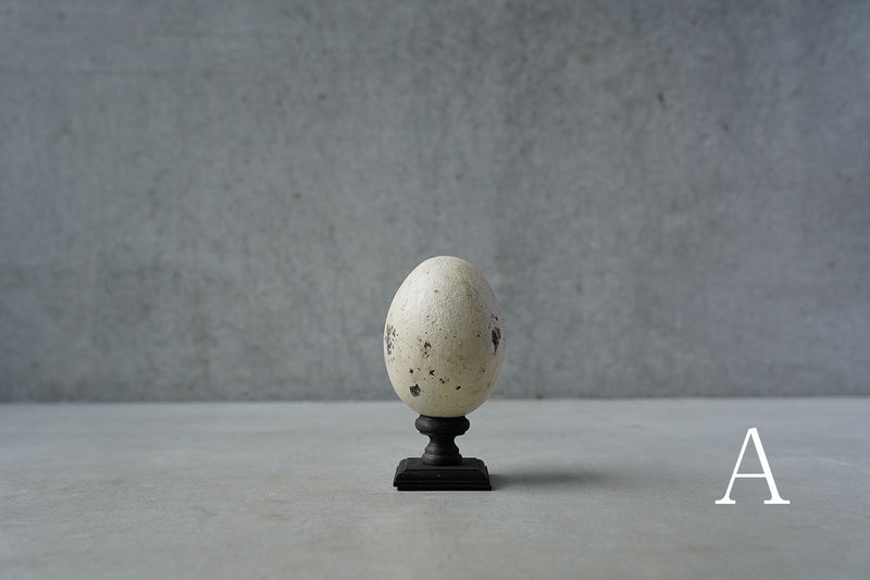 ●24-NM 29 Norihisa Mizuta / egg object