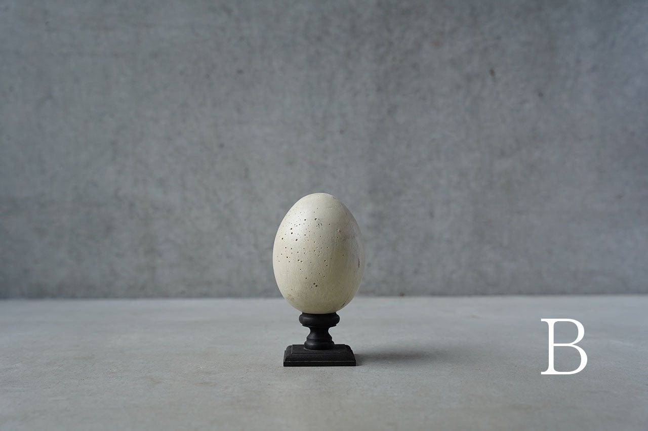 ●24-NM 29 Norihisa Mizuta / egg object