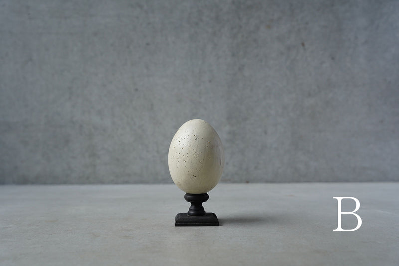 ●24-NM 29 Norihisa Mizuta / egg object