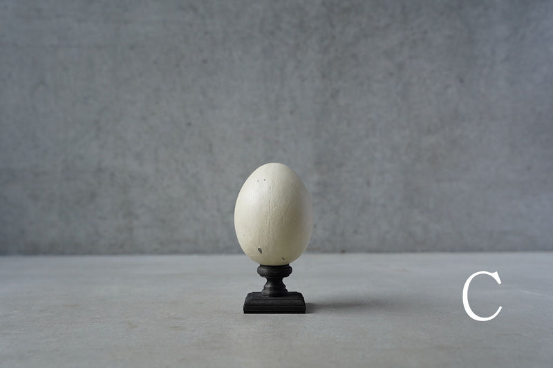 ●24-NM 29 Norihisa Mizuta / egg object