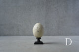 ●24-NM 29 Norihisa Mizuta / egg object