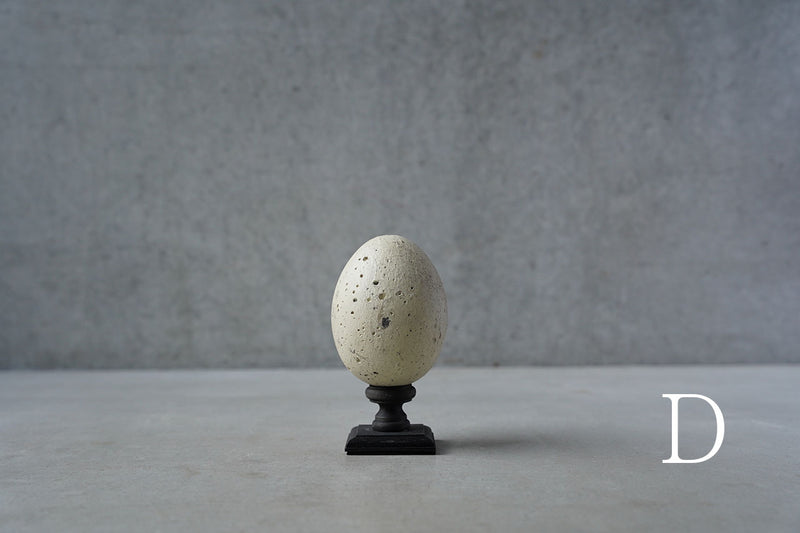 ●24-NM 29 Norihisa Mizuta / egg object