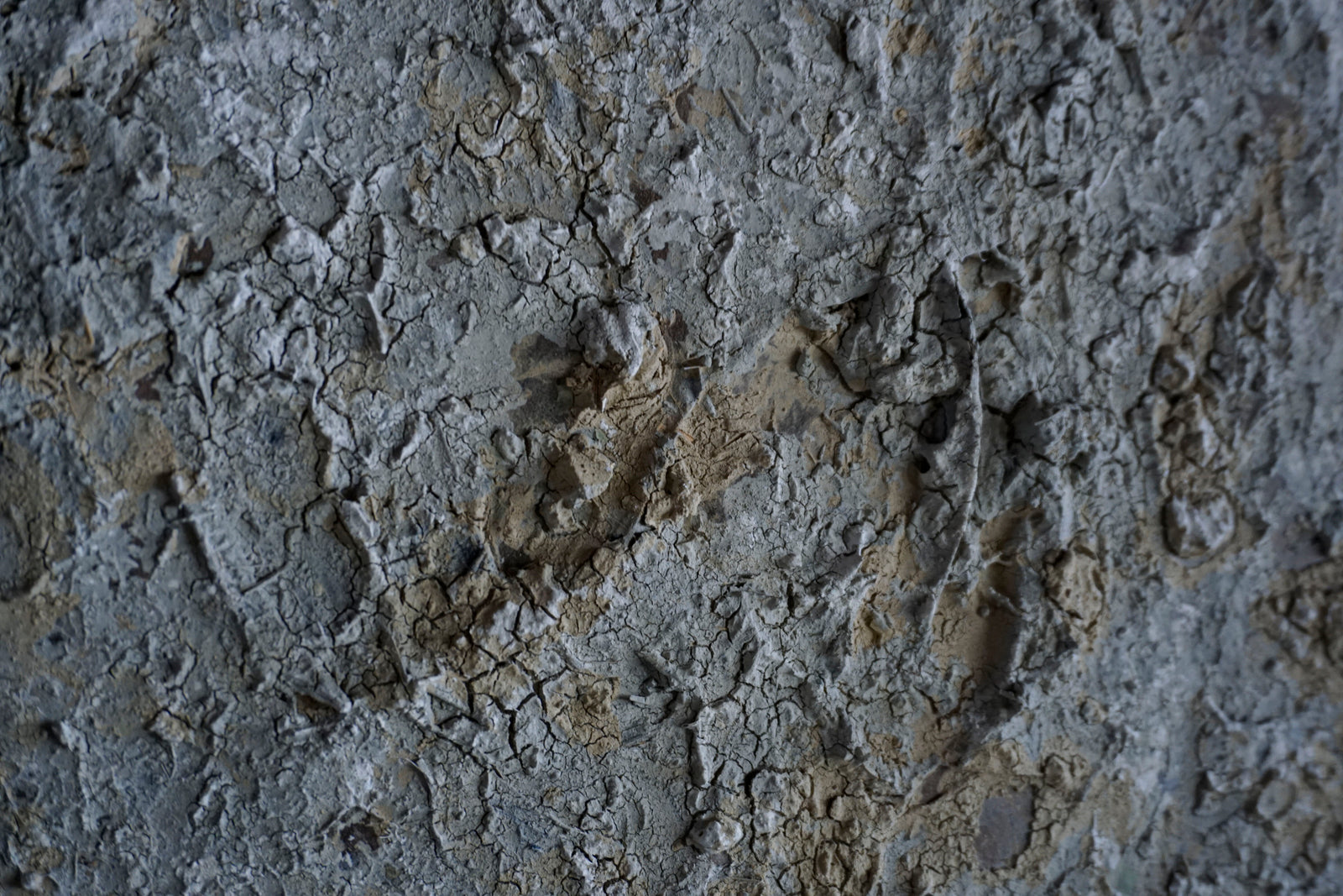 ハタノワタル/積み重なったもの/20号 ハタノワタル/積み重なったもの/20号 ハタノワタル 積み重なったもの