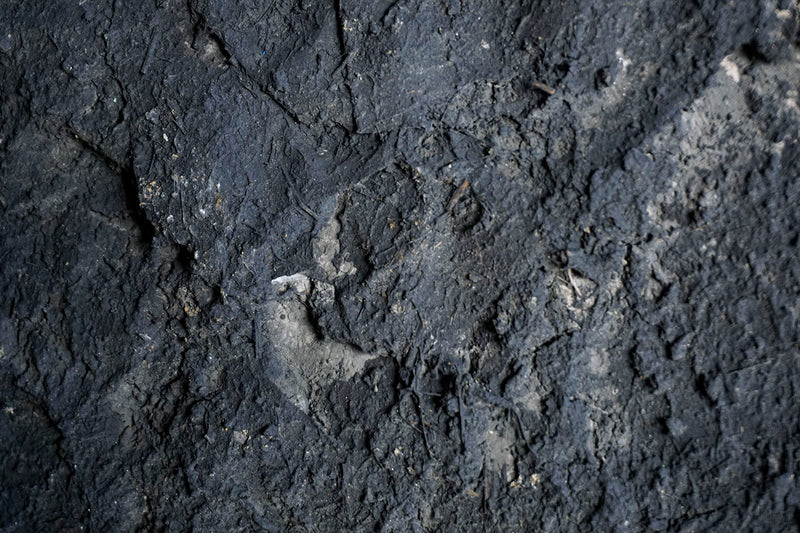 ハタノワタル 積み重なったもの TW-1 – 雨晴/AMAHARE