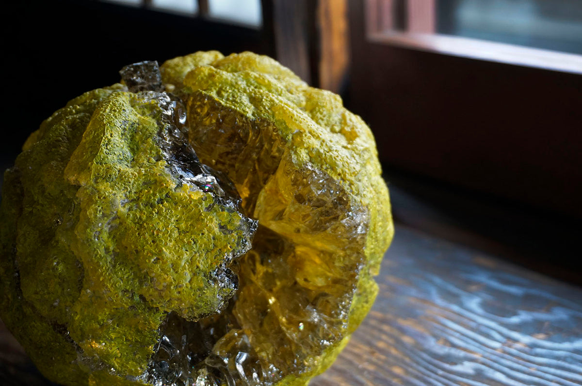 ○26-MY-5果実‐鬼柚子‐ – 雨晴/AMAHARE