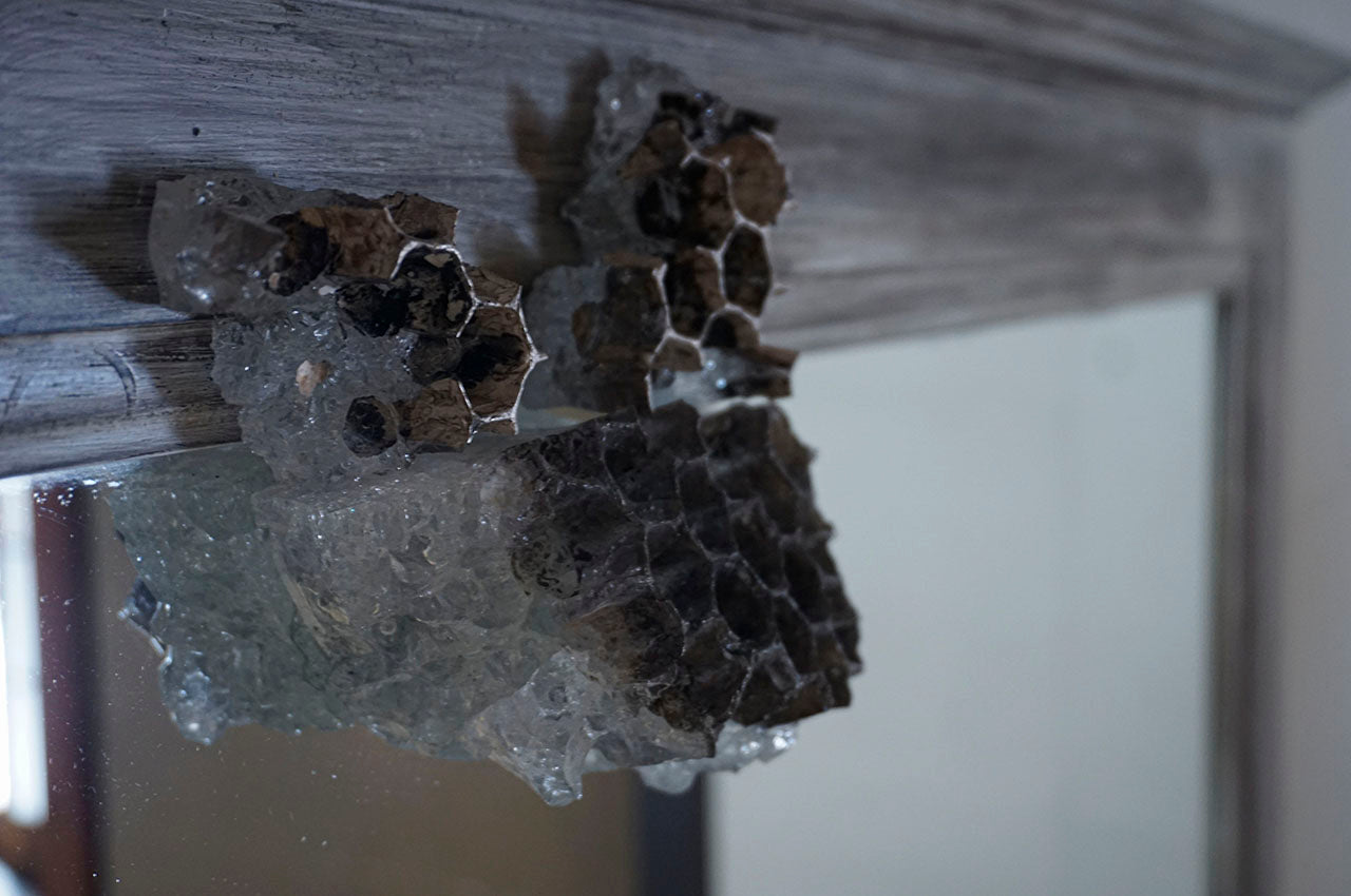 Marina Yonetsu Bee and Hive