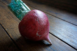Marina Yonetsu Red Turnip