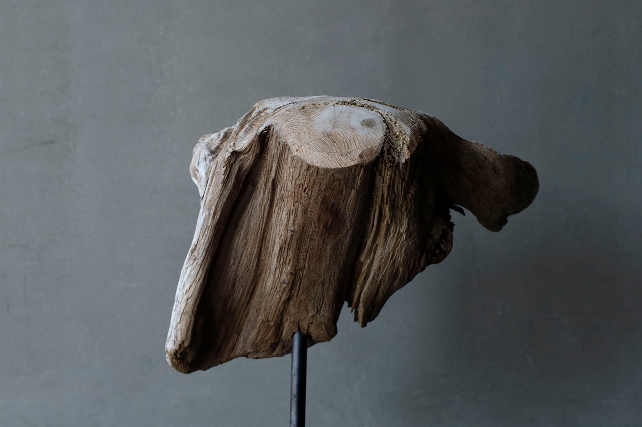 Norihisa Mizuta, "Driftwood Goat"