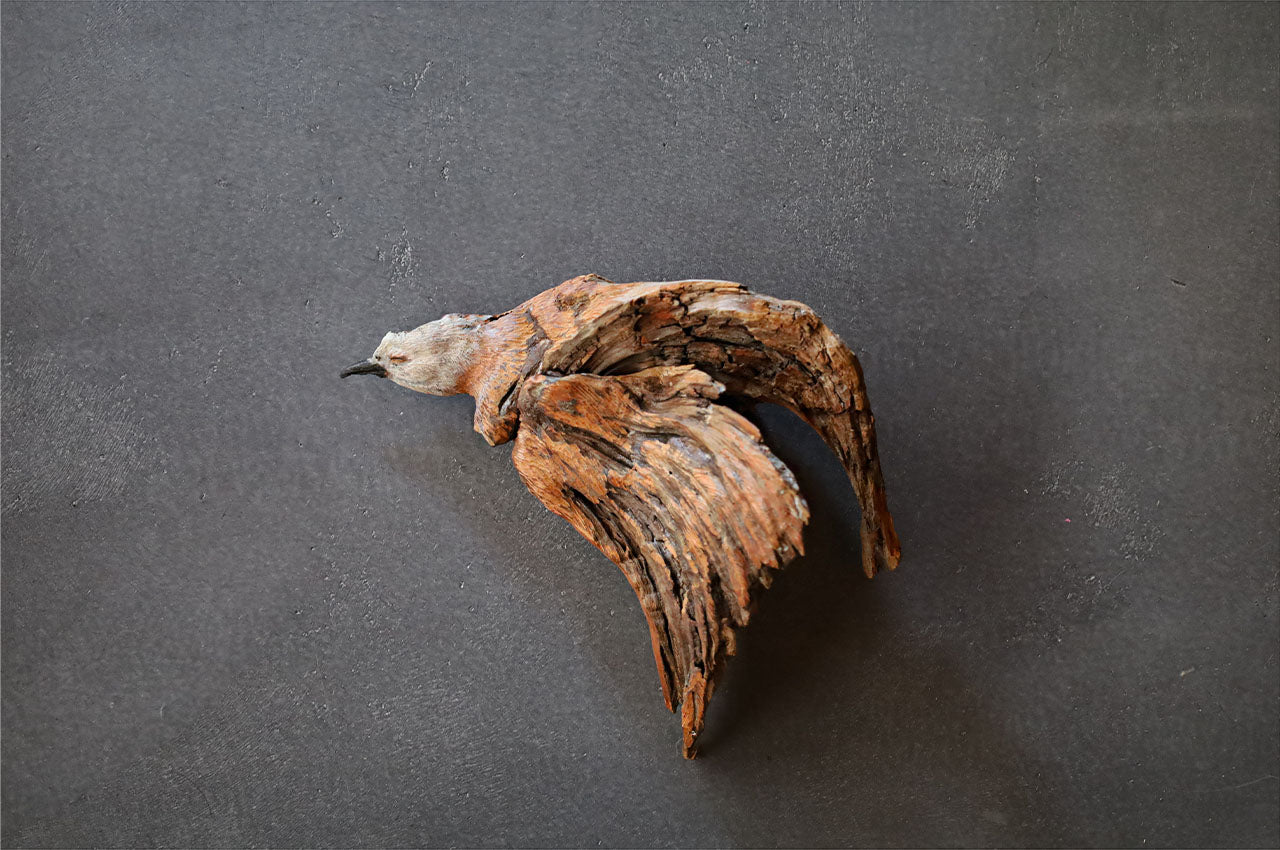 The Remains of a Bird