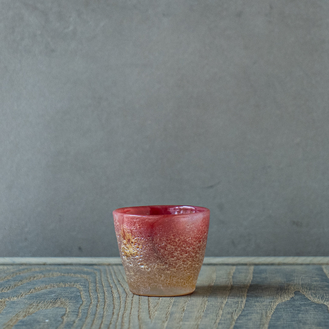 fresco / Takeshi Tsujino