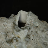 25-10S 池田優子 白磁 岩肌花器-4