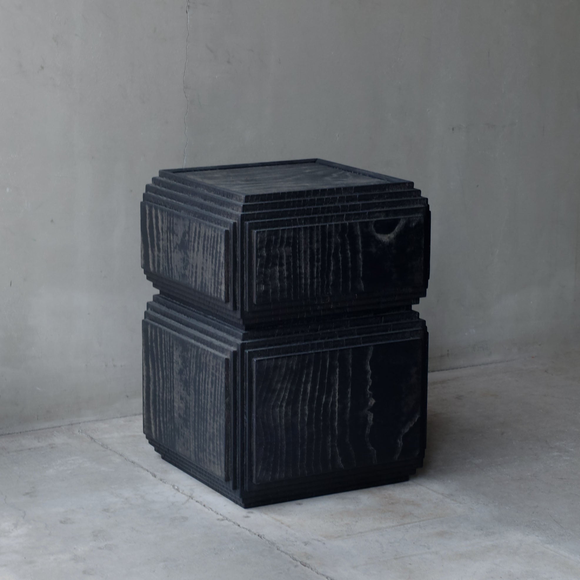 Fuyou Brion Trunk - Black