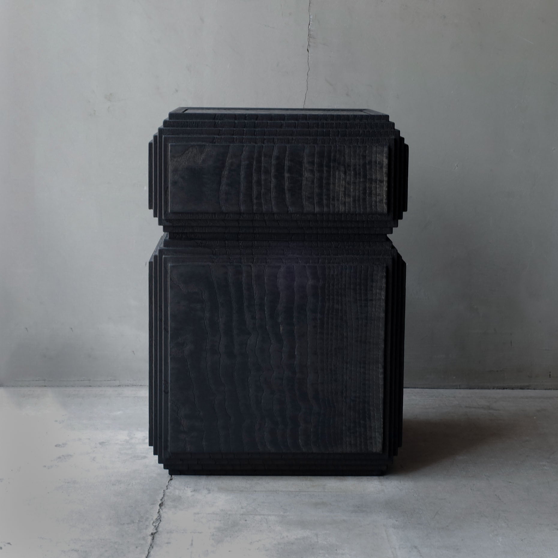 Fuyou Brion Trunk - Black