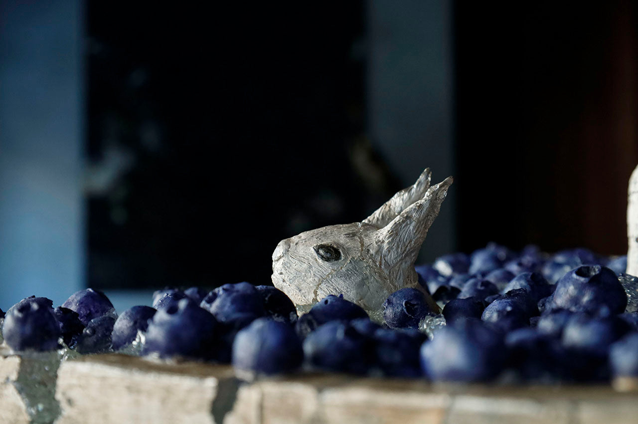 Marina Yonetsu Blue Fruit and Squirrel