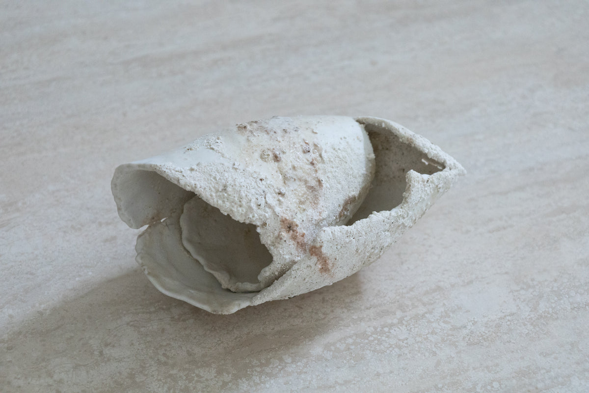 Yuko Ikeda: 26M-3 Shell Sculpture (Shell Objet)
