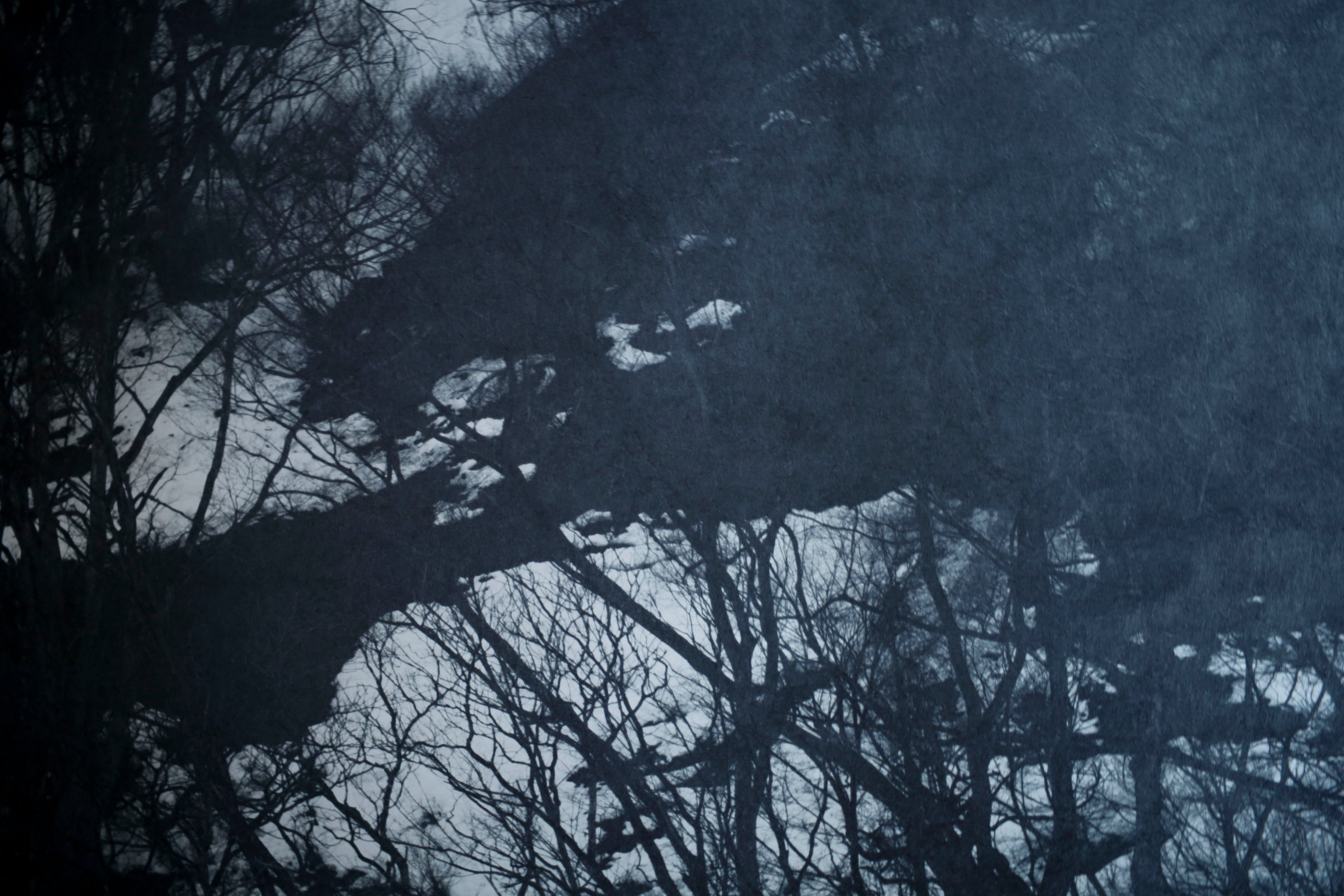 ●25-SG9-ART W900mm×H900mm hand colored