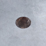 Wataru Hatano  Oval・Small Type 5
