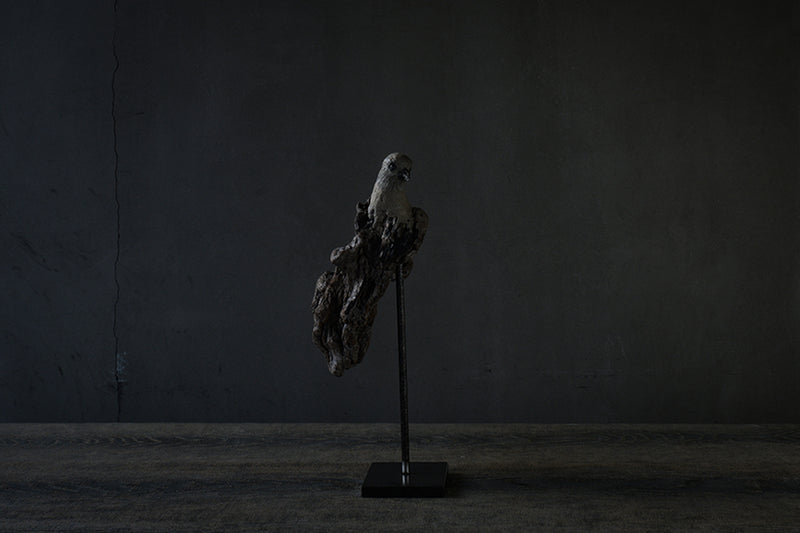 Norihisa Mizuta / bird with pewter accents