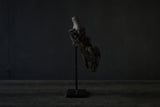 Norihisa Mizuta / bird with pewter accents
