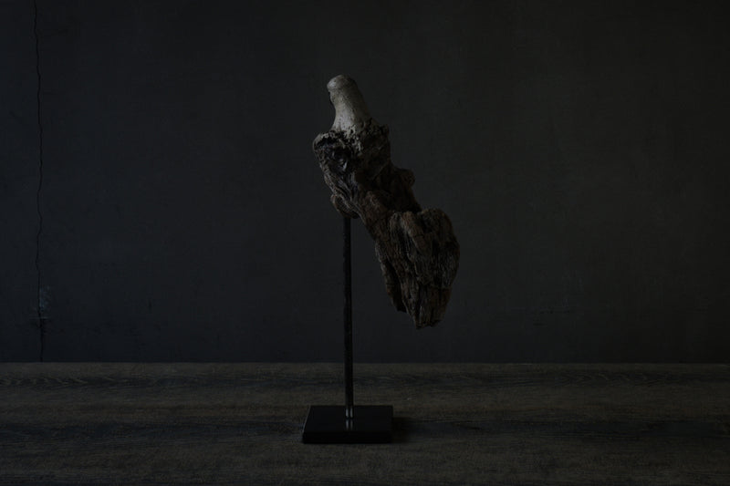 Norihisa Mizuta / bird with pewter accents