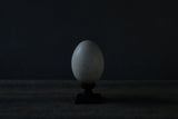 Norihisa Mizuta / egg object
