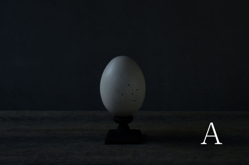 Norihisa Mizuta / egg object