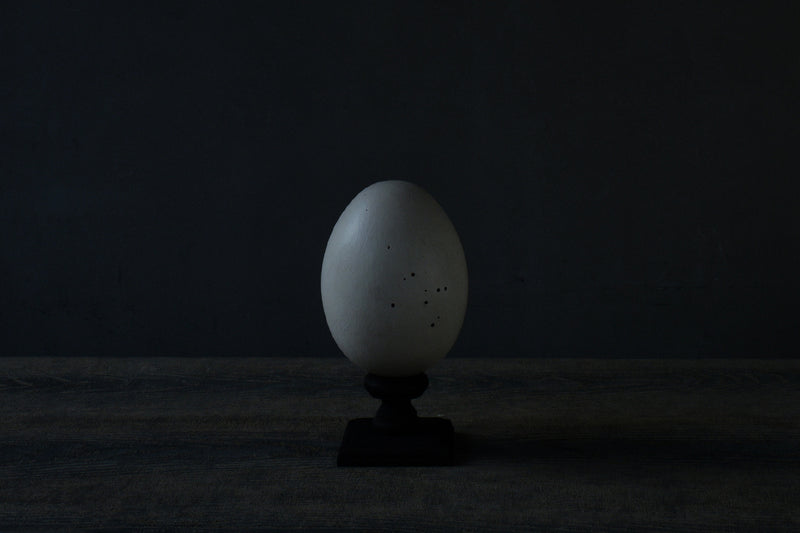 Norihisa Mizuta / egg object