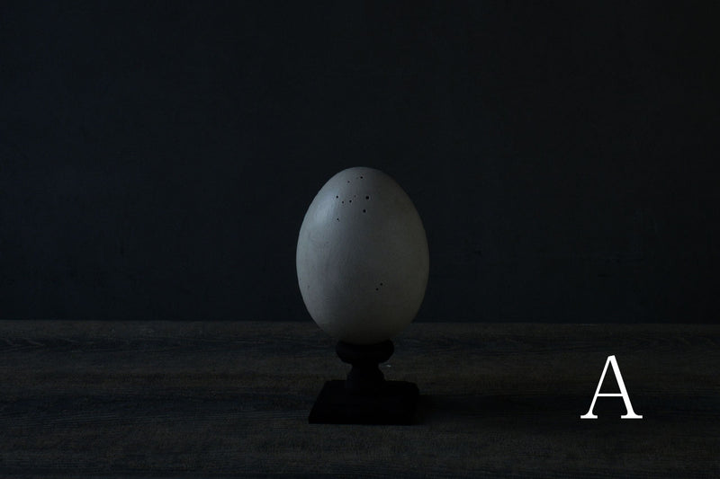 Norihisa Mizuta / egg object