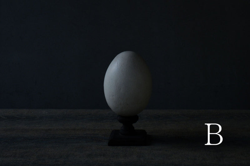 Norihisa Mizuta / egg object