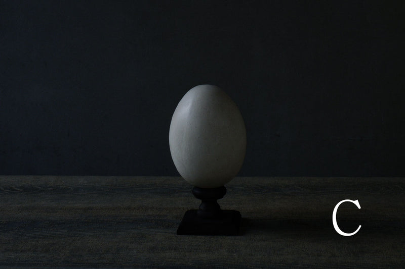 Norihisa Mizuta / egg object