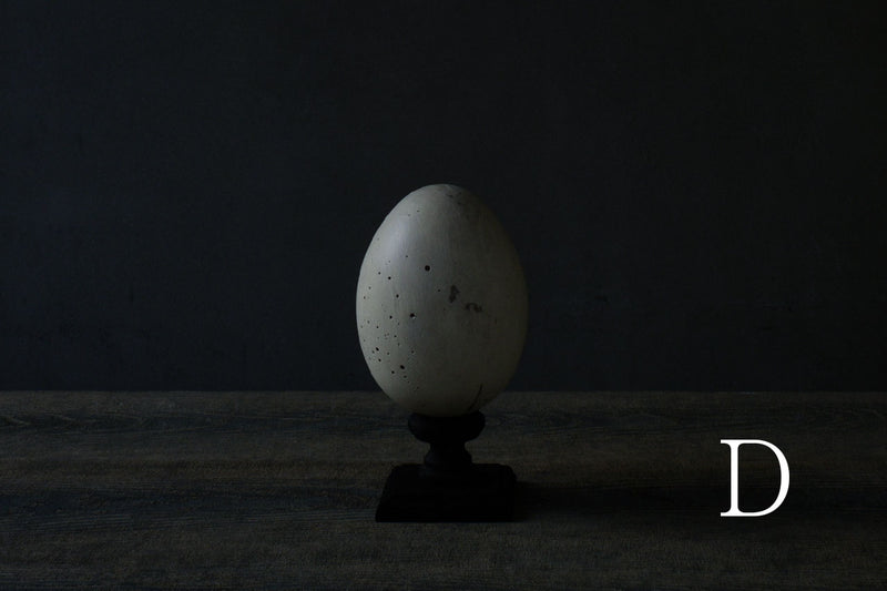 Norihisa Mizuta / egg object
