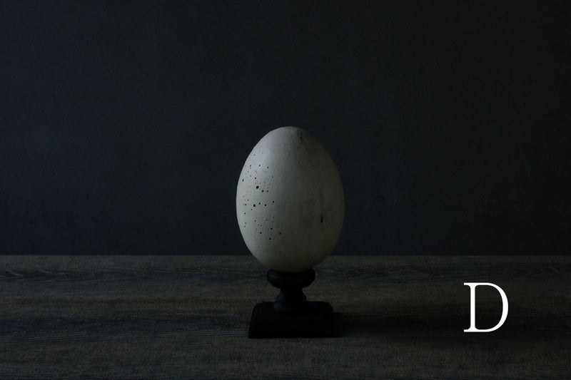 Norihisa Mizuta / egg object