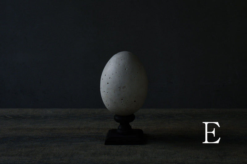 Norihisa Mizuta / egg object