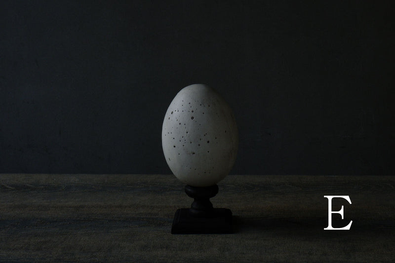 Norihisa Mizuta / egg object