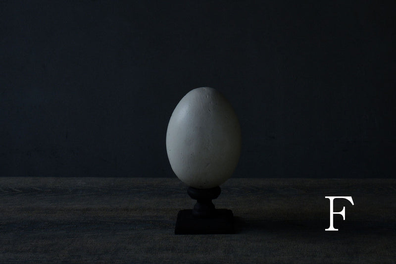 Norihisa Mizuta / egg object