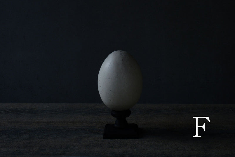 Norihisa Mizuta / egg object