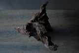 Norihisa Mizuta / Sculpture 25-c