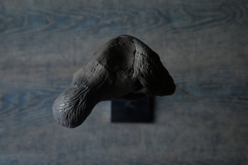 Norihisa Mizuta / bird with pewter accents