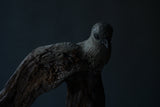 Norihisa Mizuta / bird with pewter accents