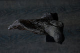 Norihisa Mizuta / bird with pewter accents