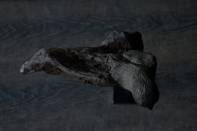 Norihisa Mizuta / bird with pewter accents