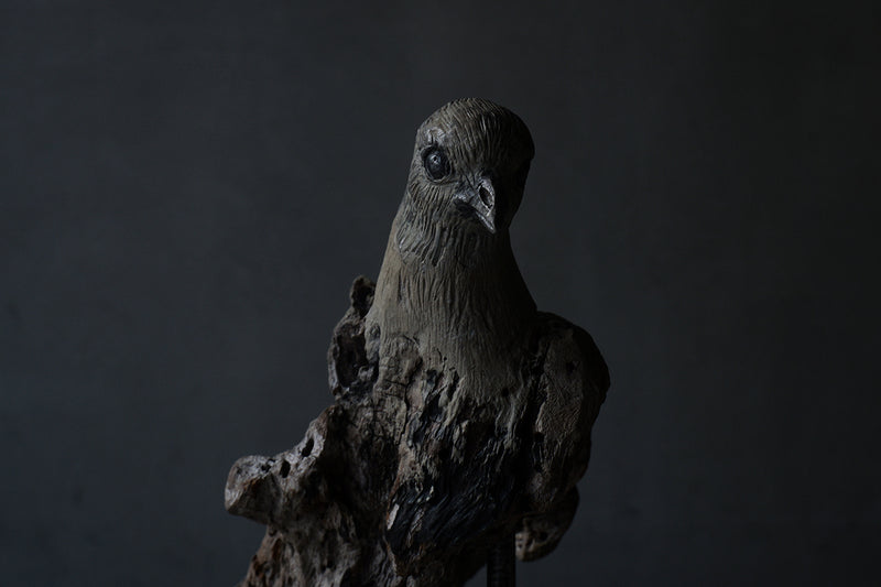 Norihisa Mizuta / bird with pewter accents