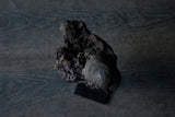 Norihisa Mizuta / bird with pewter accents