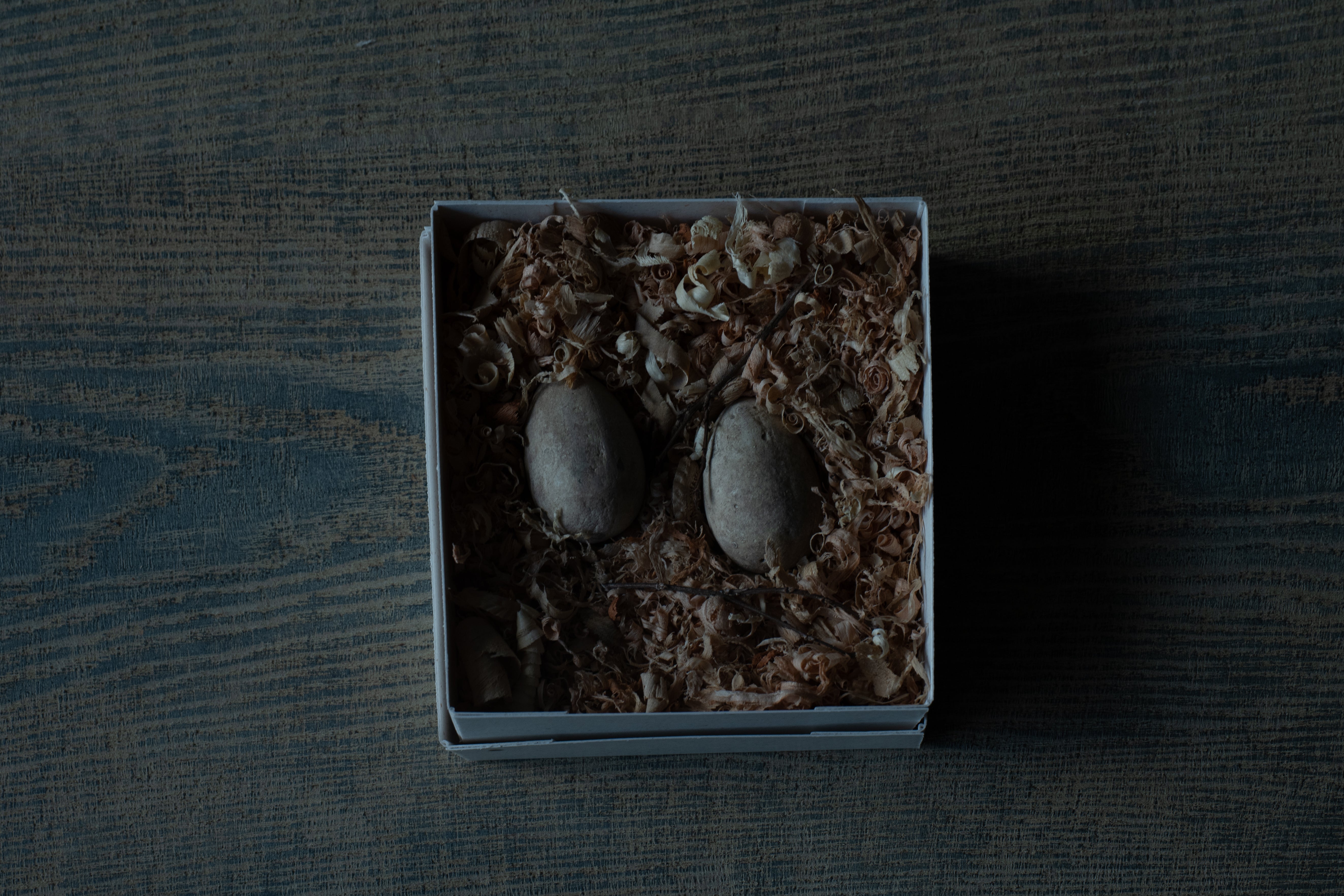 水田典寿 egg object S red