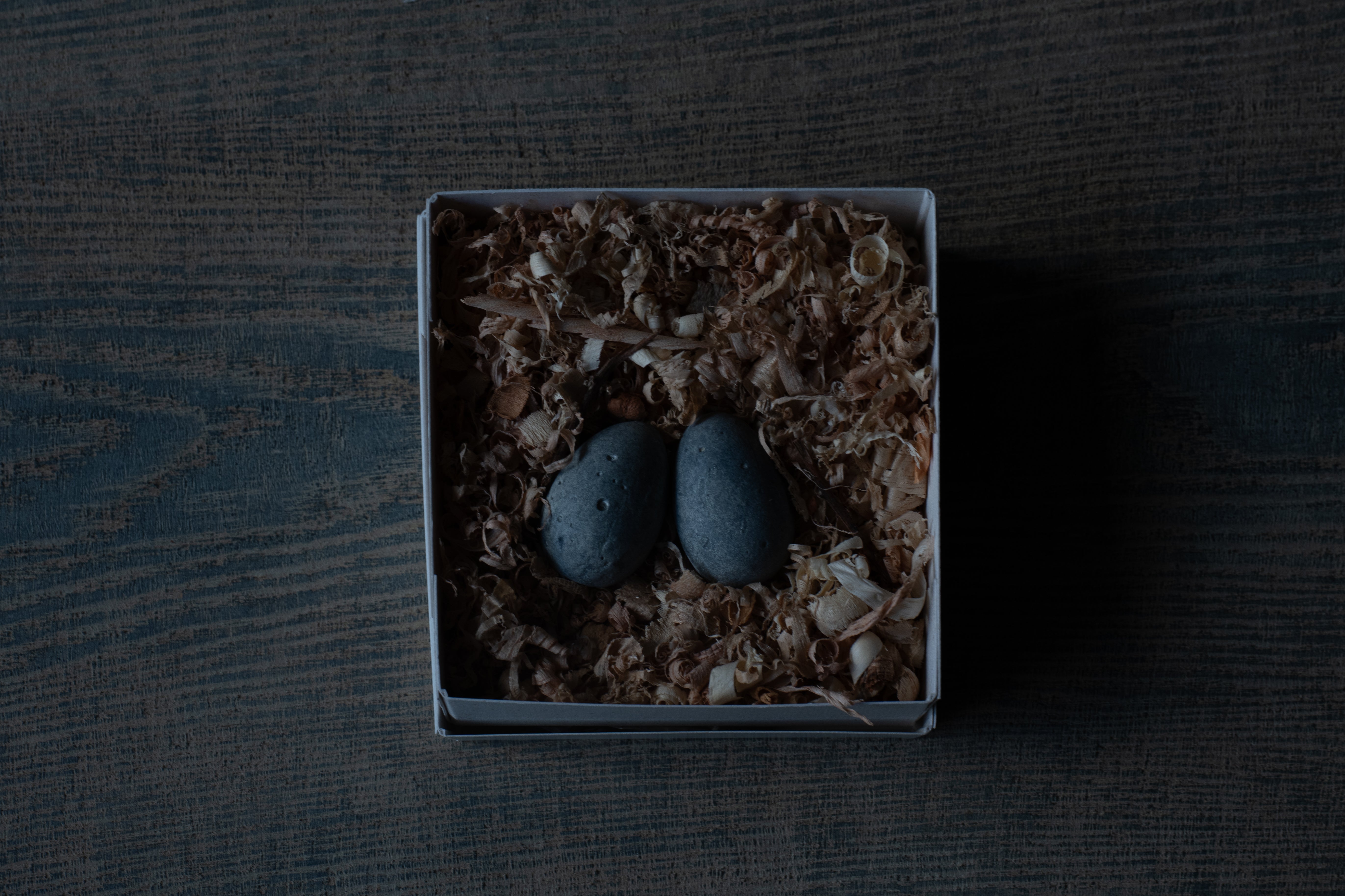 水田典寿 egg object S blue