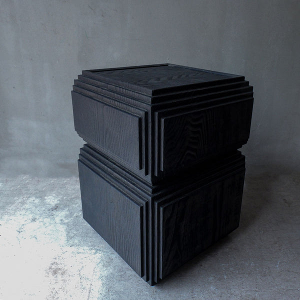 Fuyou Brion Table S