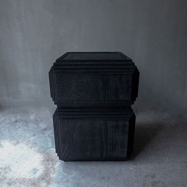 Fuyou Brion Table S
