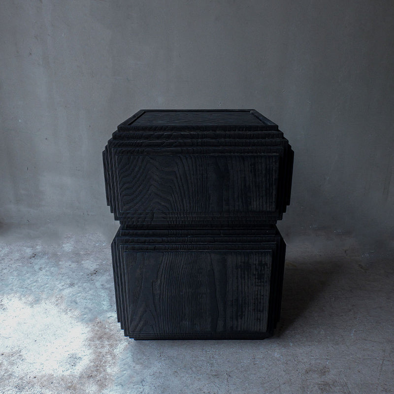 Fuyou Brion Table S